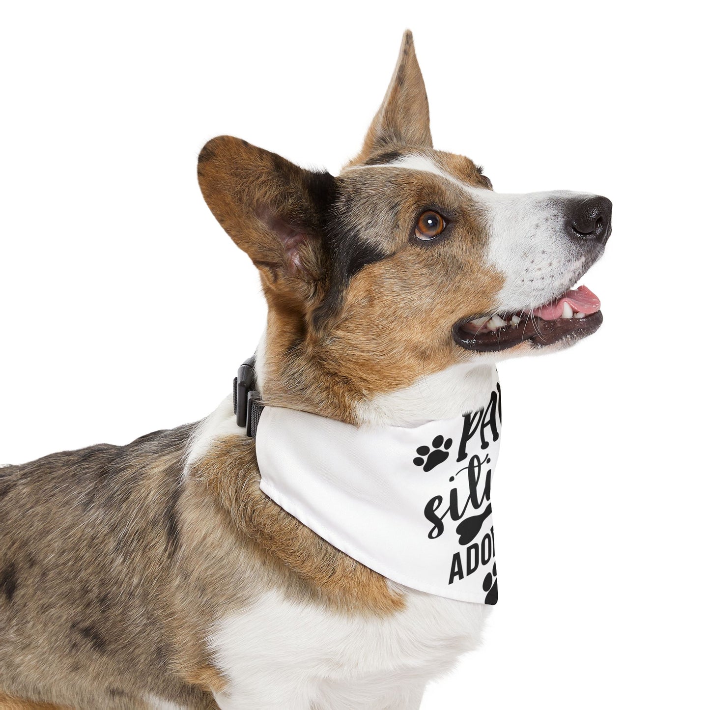 Paw-sitively Adorable Pet Bandana Collar – Cute Dog Accessories & Birthday Gift