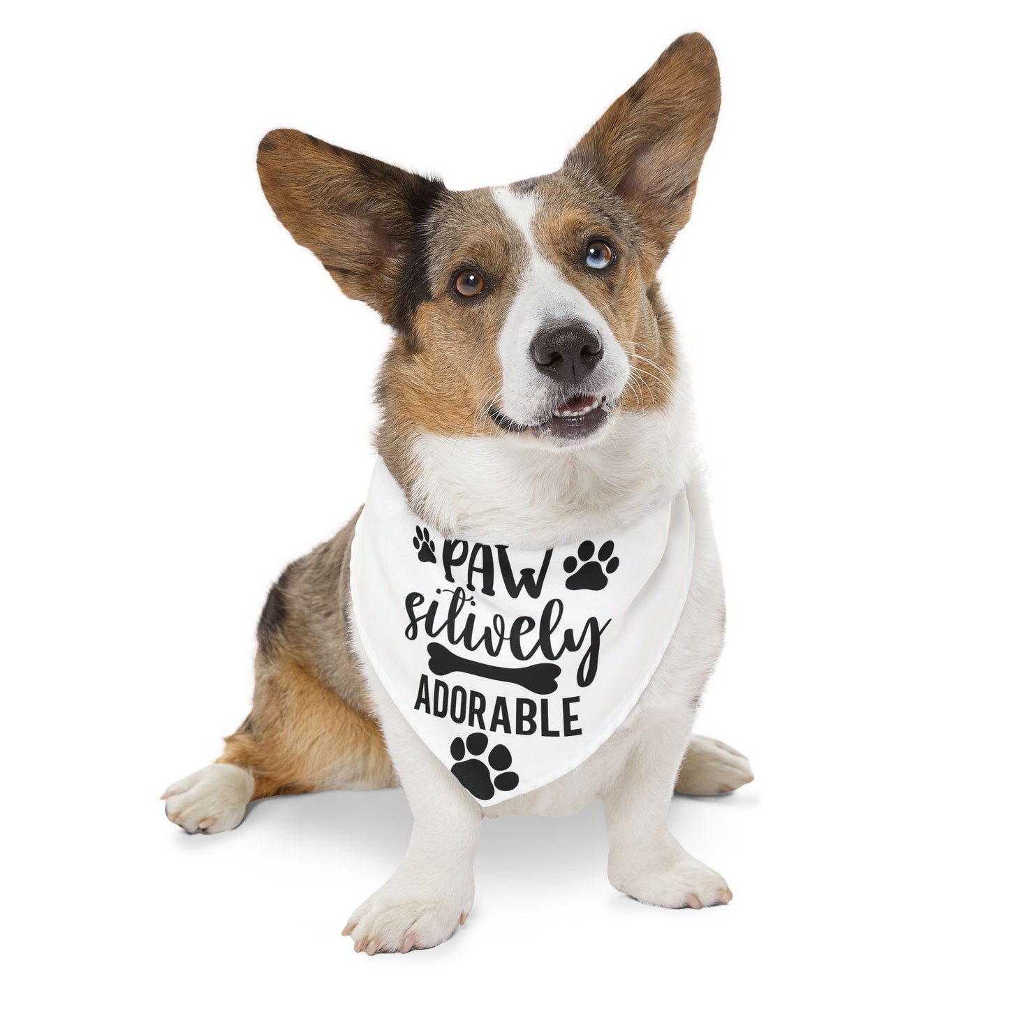 Paw-sitively Adorable Pet Bandana Collar – Cute Dog Accessories & Birthday Gift