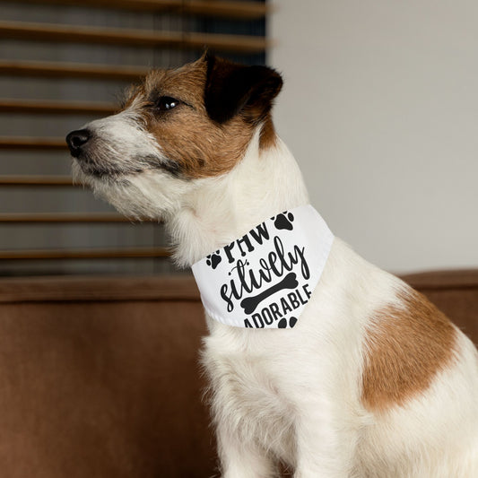 Paw-sitively Adorable Pet Bandana Collar – Cute Dog Accessories & Birthday Gift